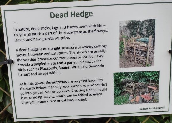 Dead hedge info