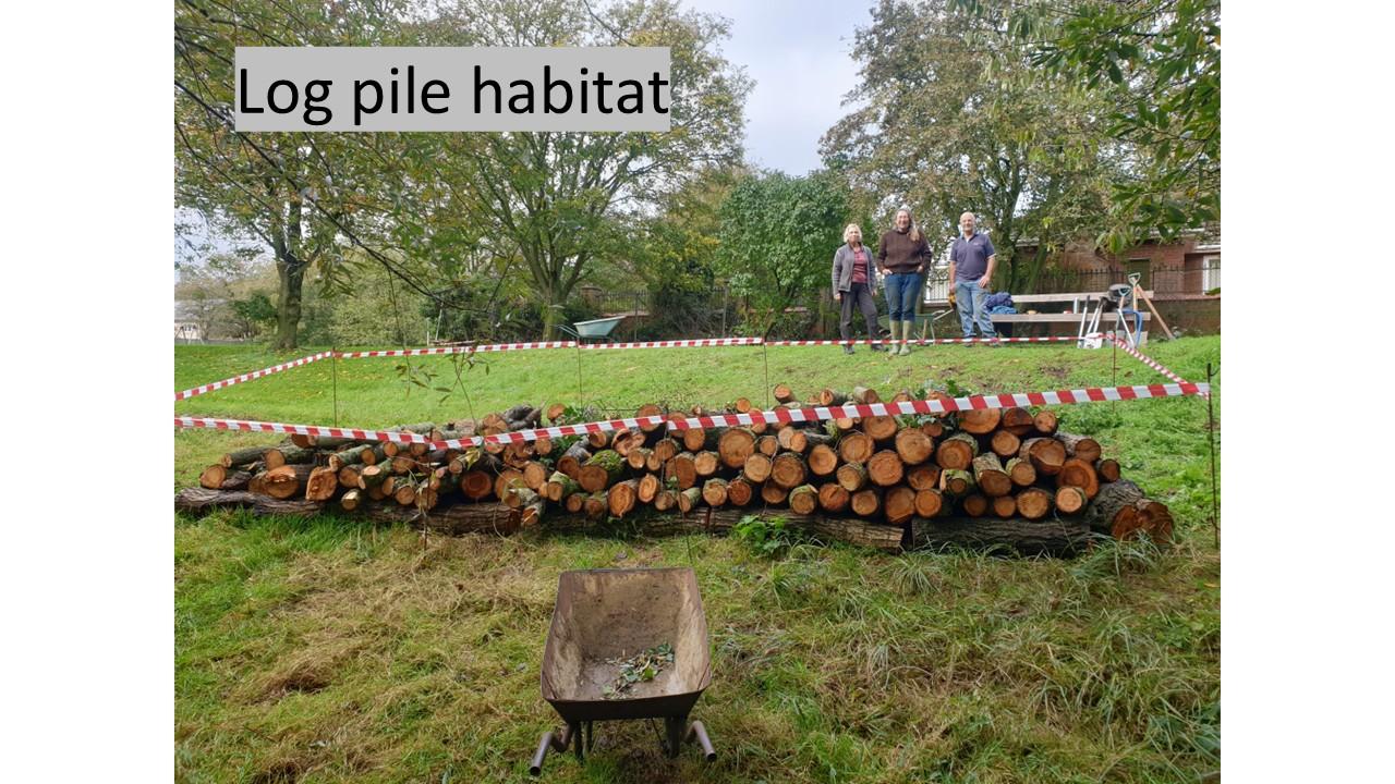 Initial Log Pile