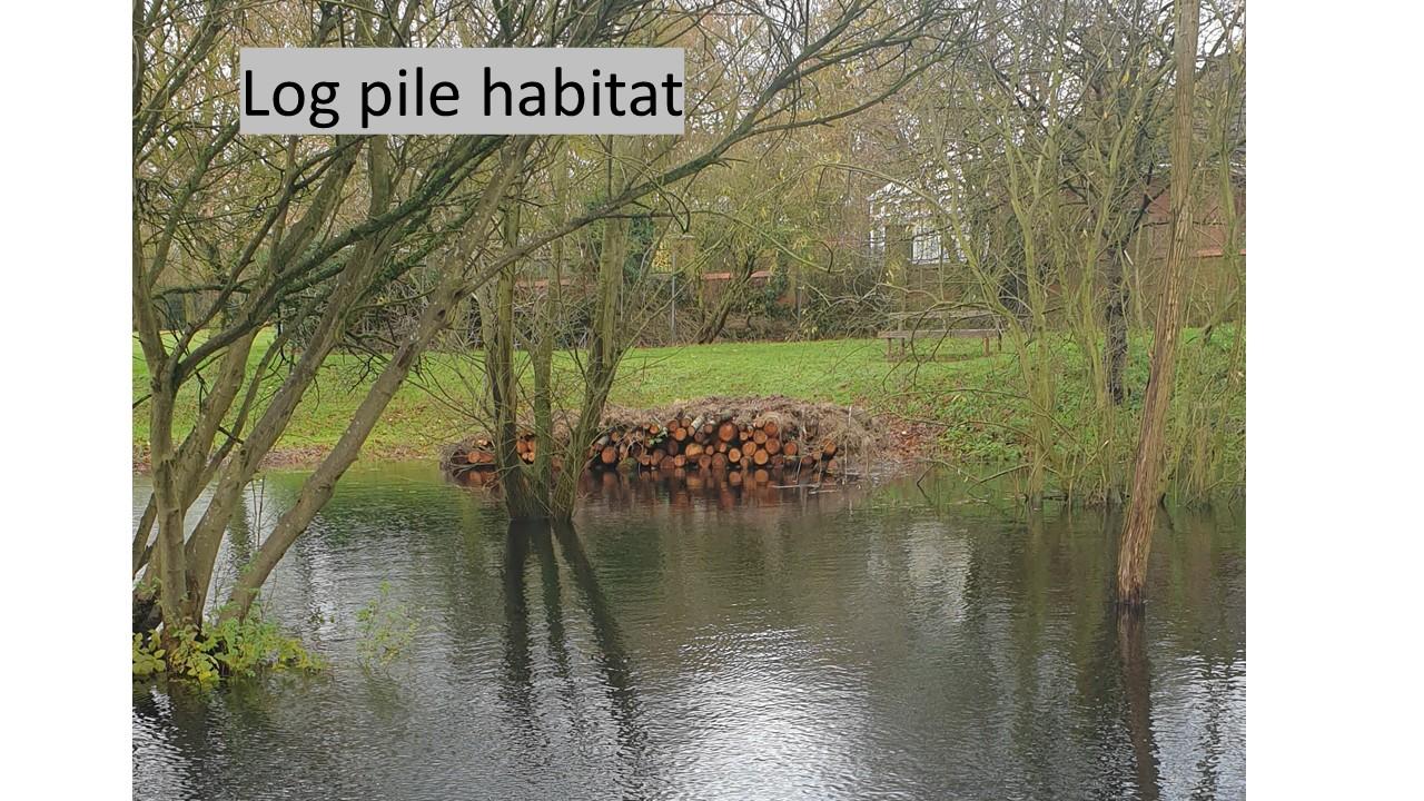 Habitat