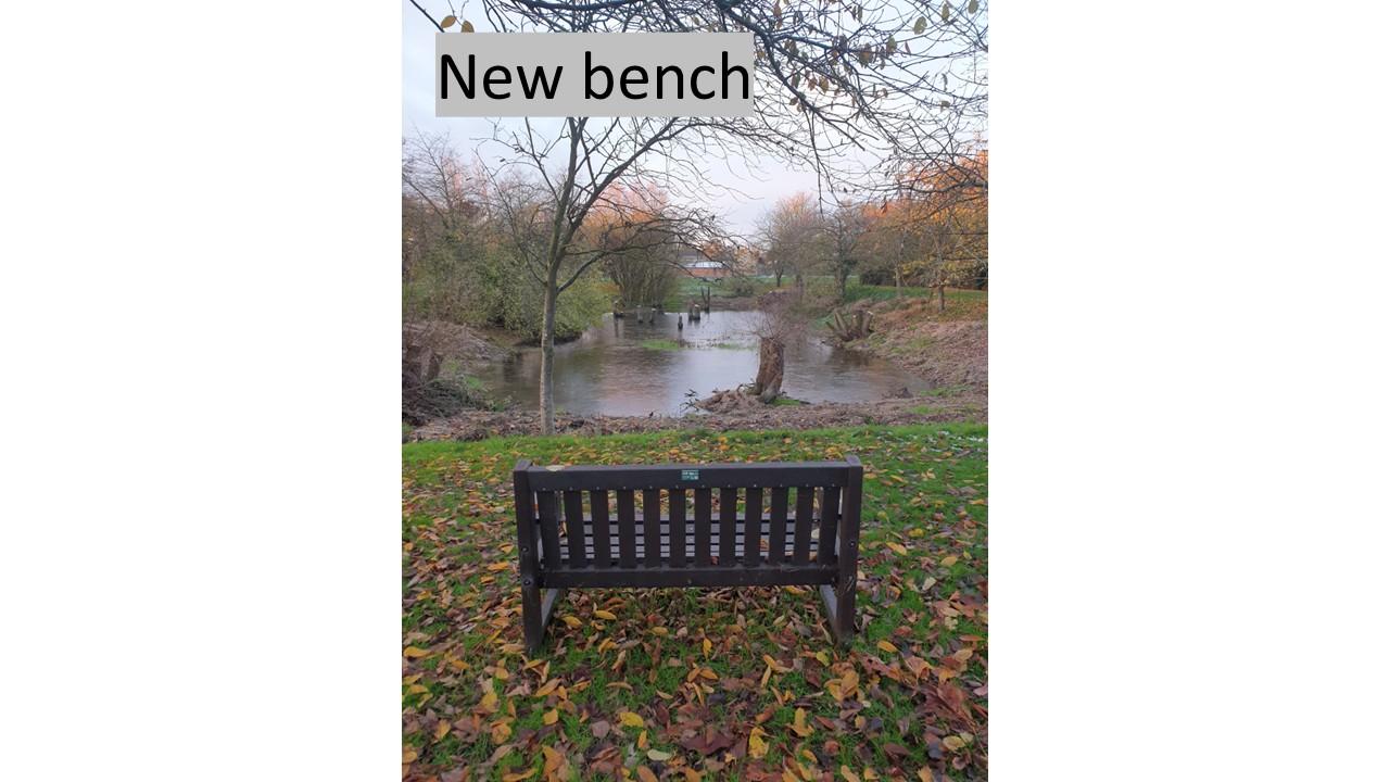 Bench with a view