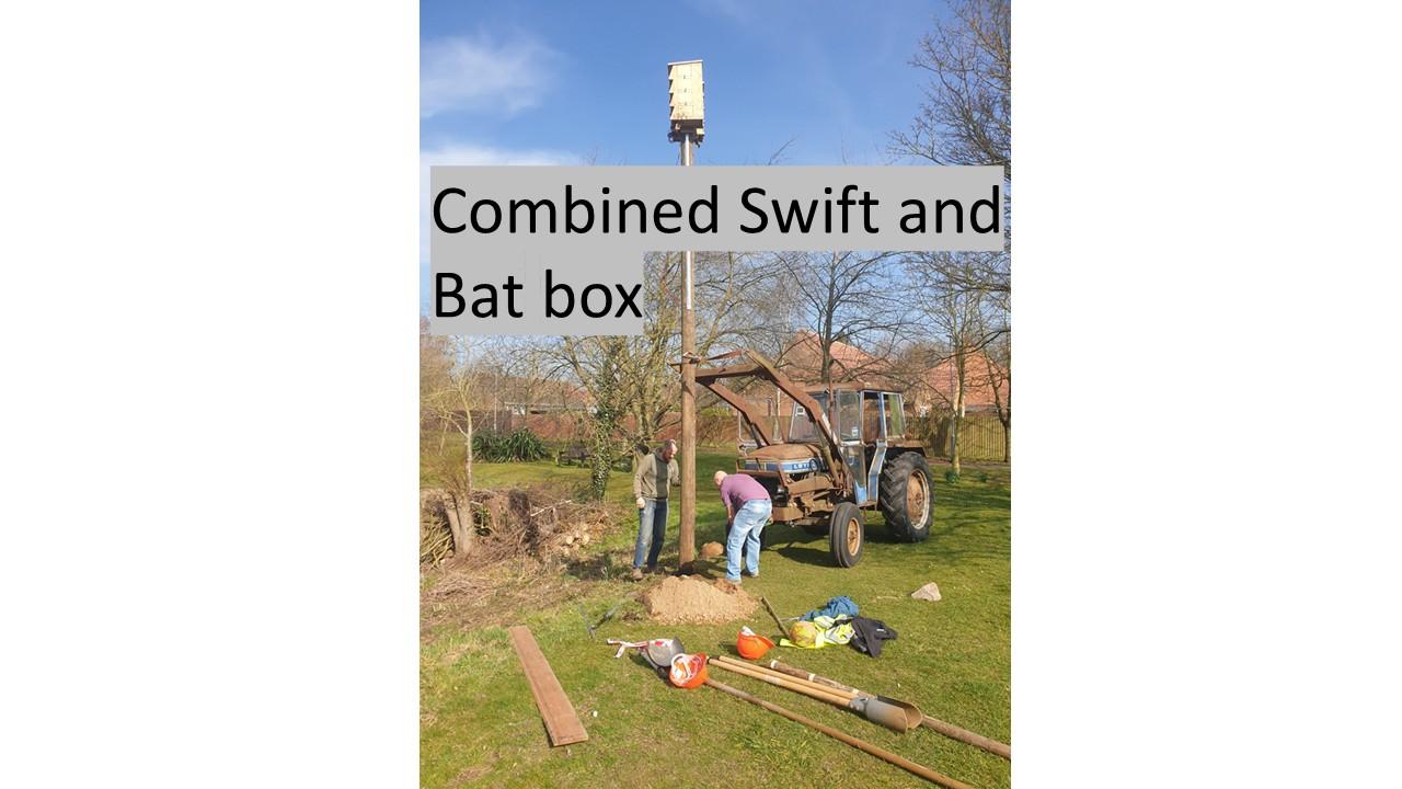 Swift &amp; Bat Box