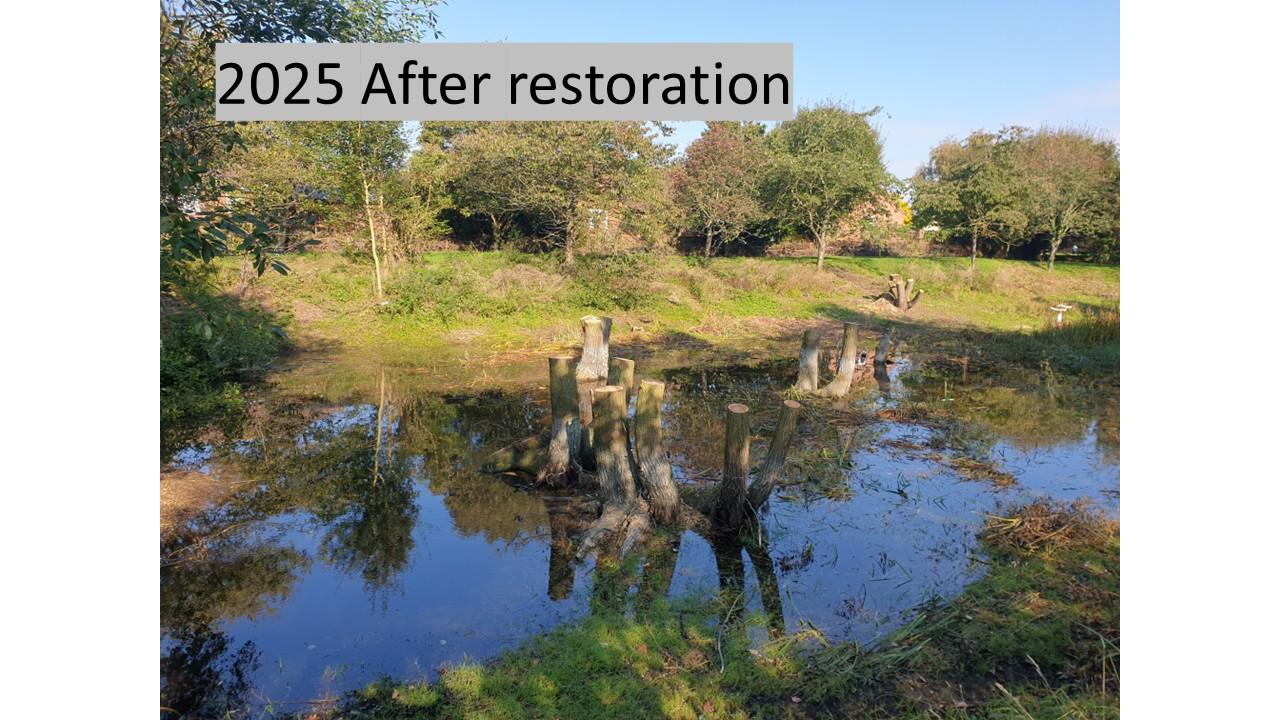 2025 Restoration