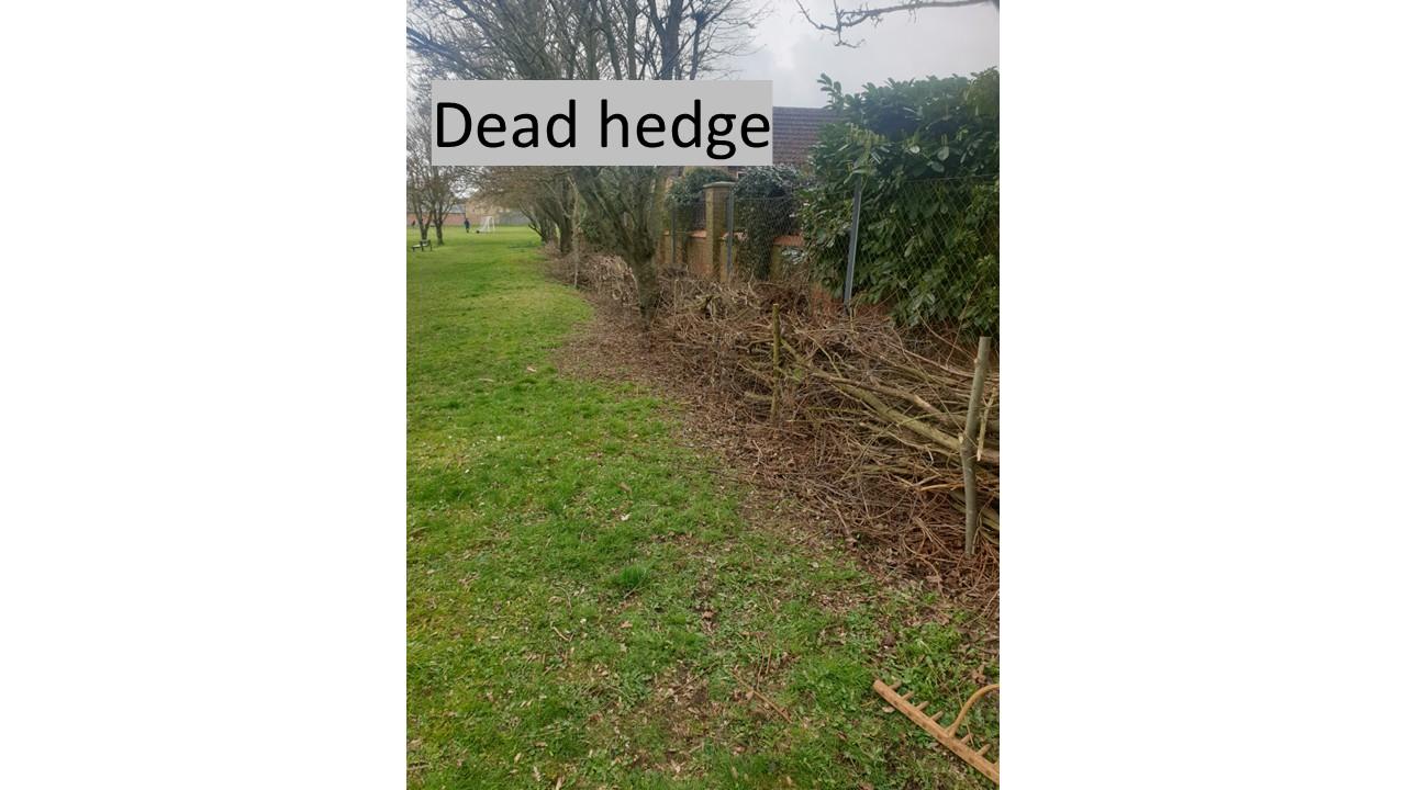 Dead hedge