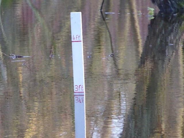 Water depth gauge